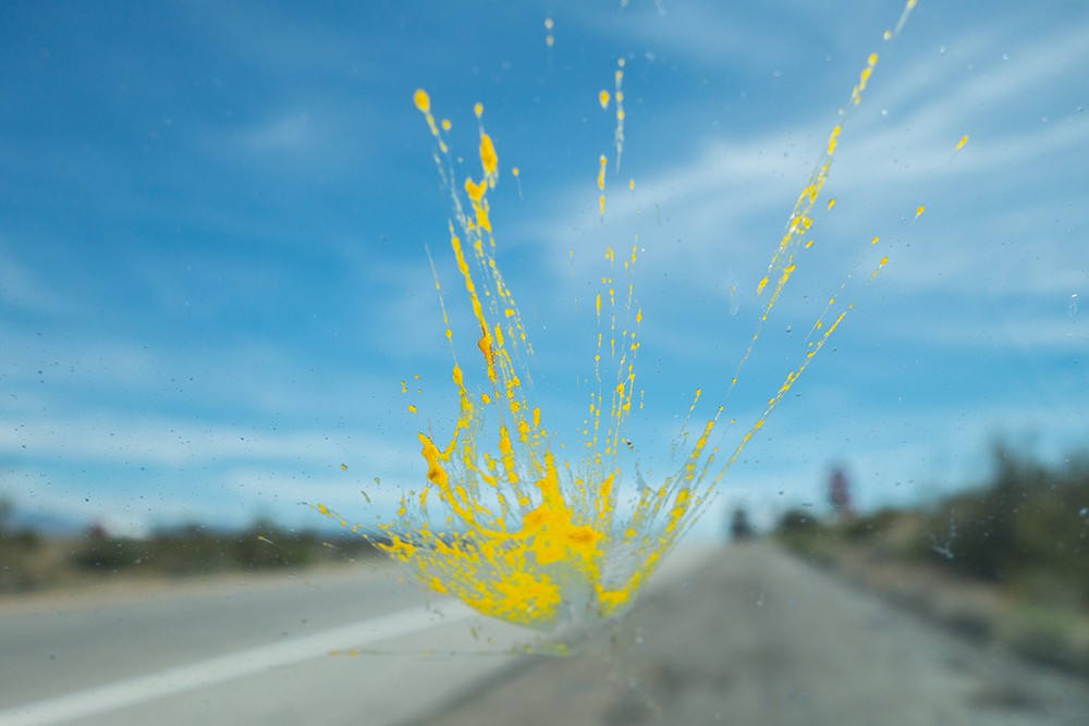 Insect splatter on windshield of car Insect splatter windshield: Photo Credit: ID 144236934 © Larry Gevert | Dreamstime.com