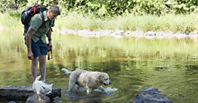 Hike the trails with your best friend
