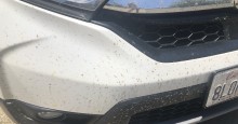 Remove bug goo as soon as possible